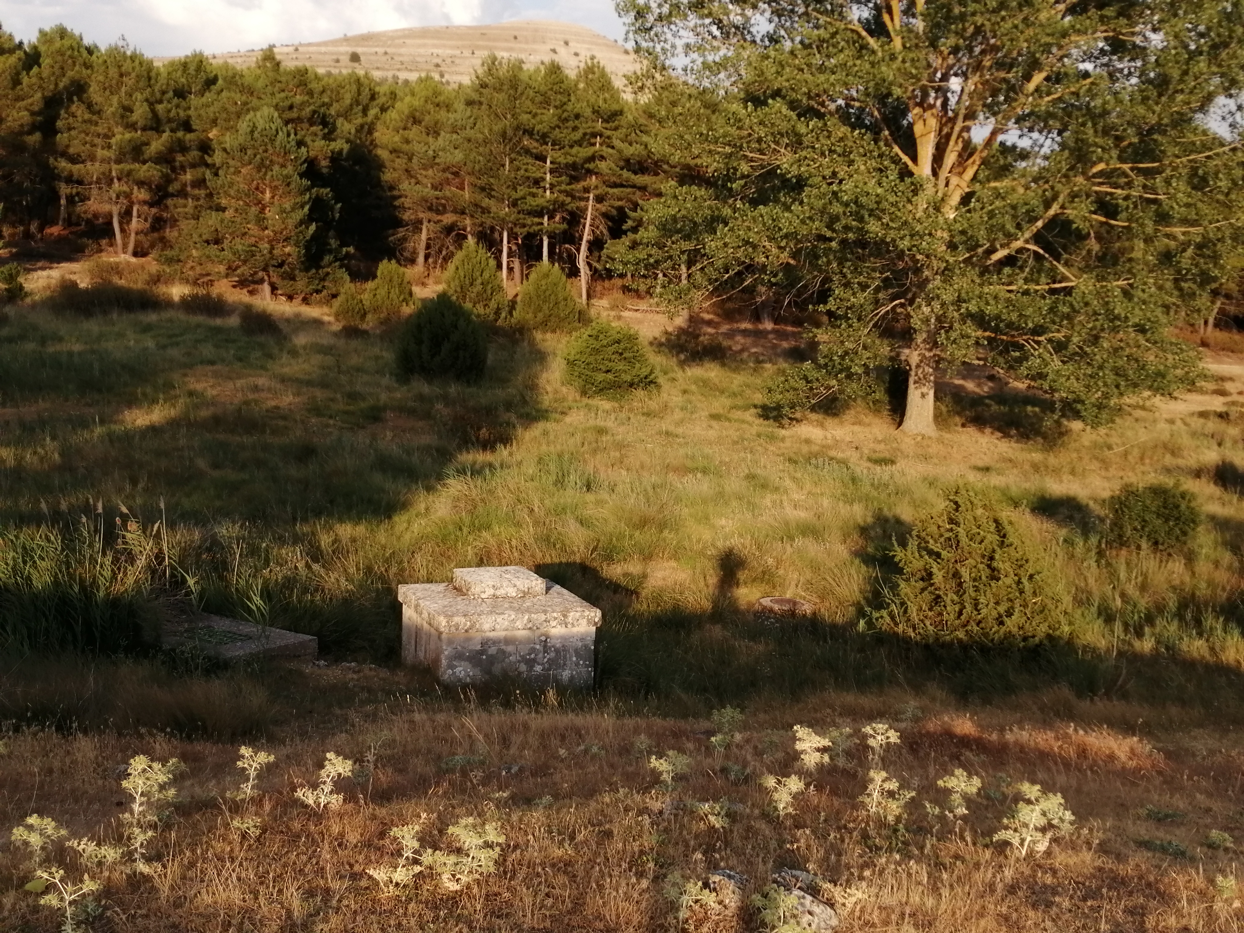 La vieja fuente de Berros