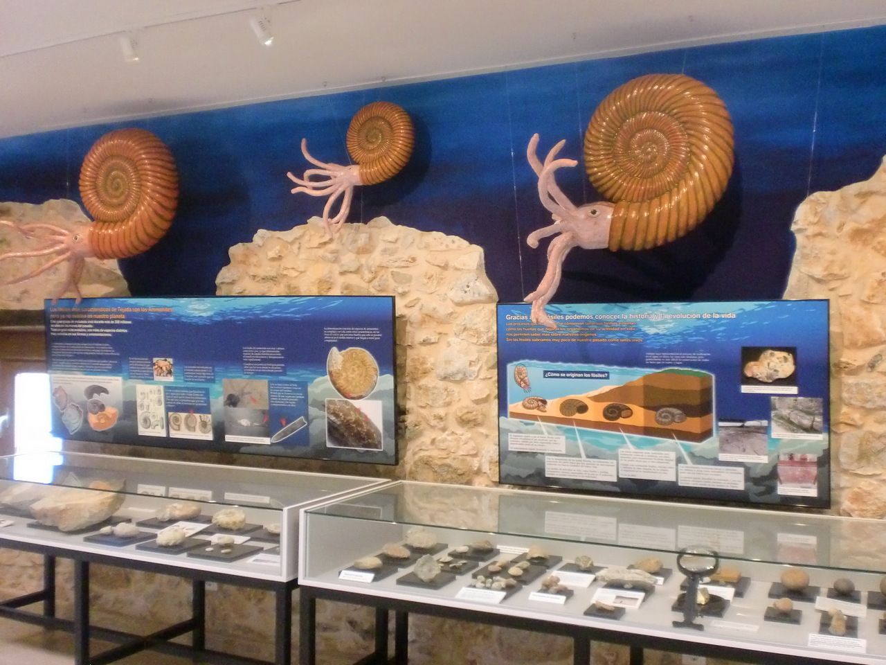 Museo de Geología y Fósiles